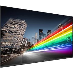 TV professionnel 4K Android 177cm (70 pouces) Philips 70BFL2214/12